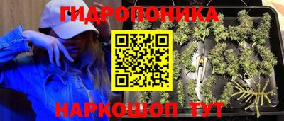 стаф Краснодар